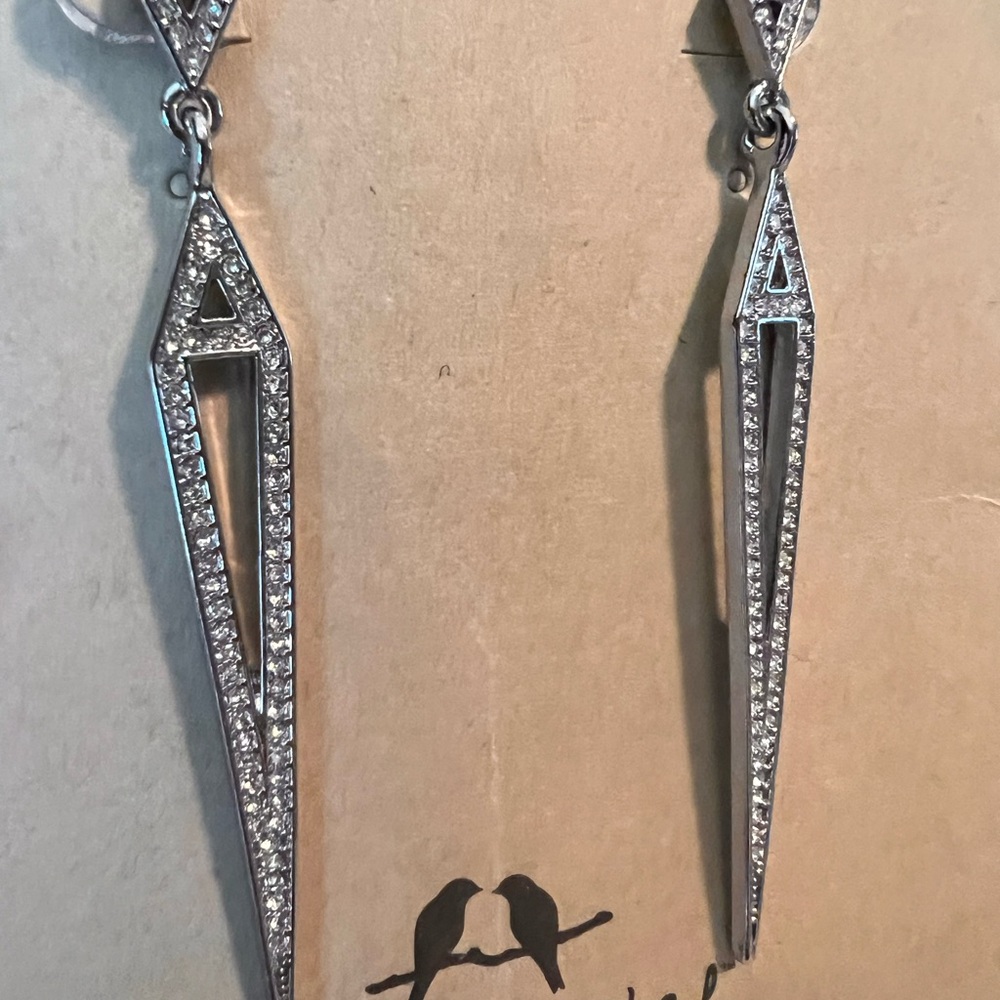 Elegant Silver Drop Earrings